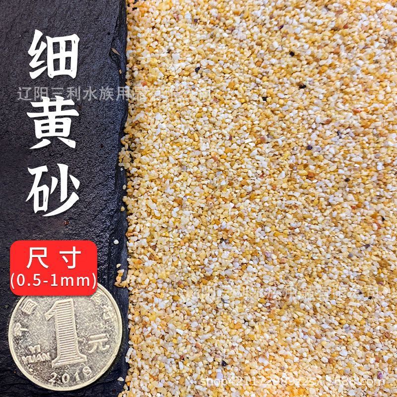 천연 황금 모래【 10kg 】독일 정밀 세척·무습수 약 1-2mm