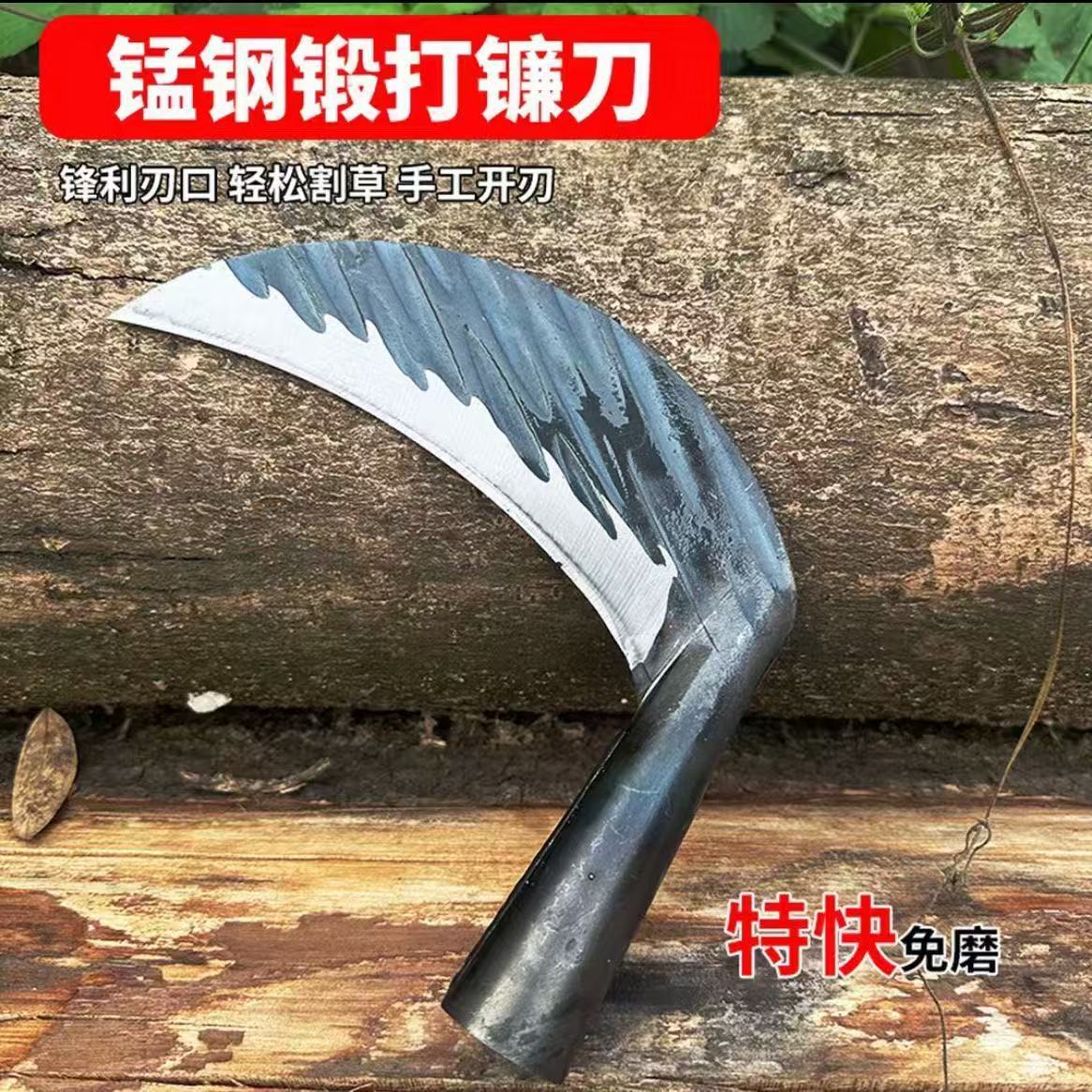 微信图片_20260516110452_172_4.jpg