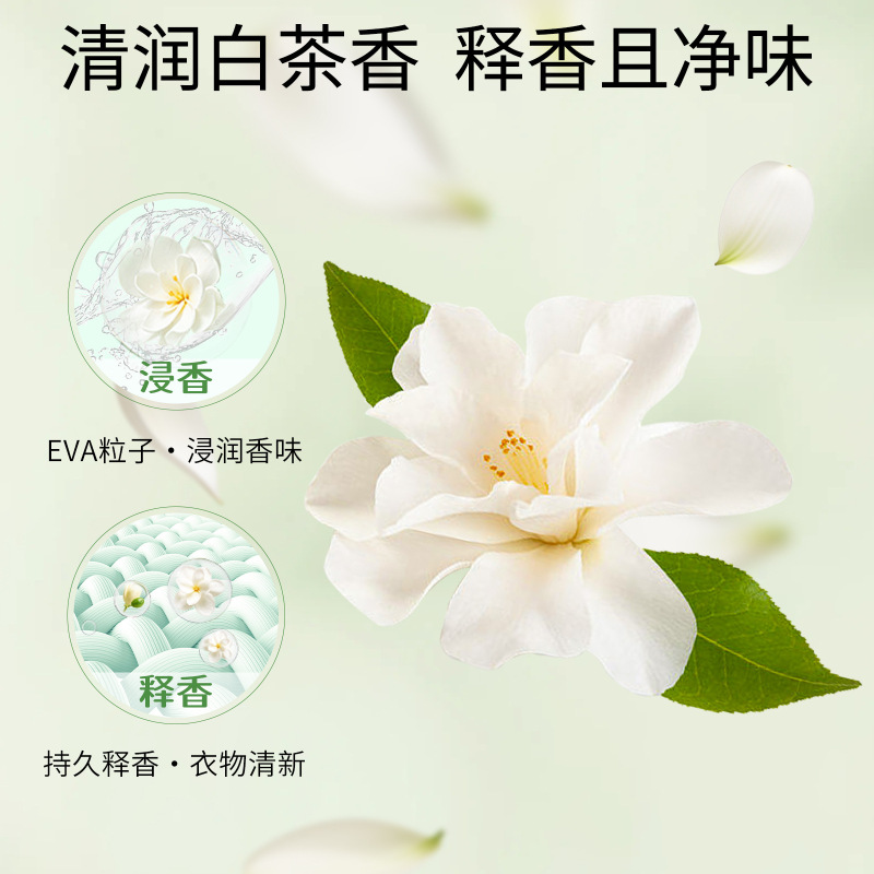 跨境专供除湿盒干燥剂防潮防霉除潮除湿氯化钙除湿剂吸湿盒衣现货|undefined