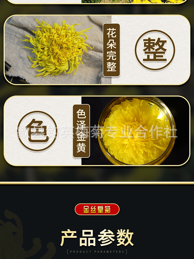 金丝皇菊-大详情页_03.jpg