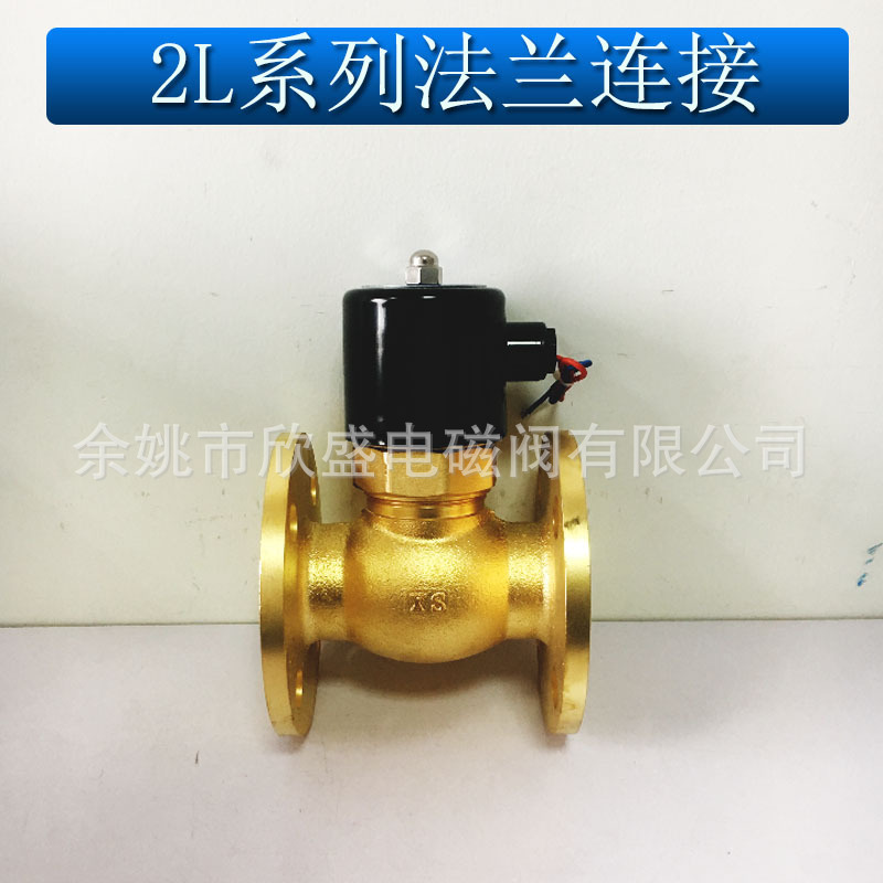 4分6分1寸2寸(US)2L-15 25 50高温高压蒸汽电磁阀法兰连接