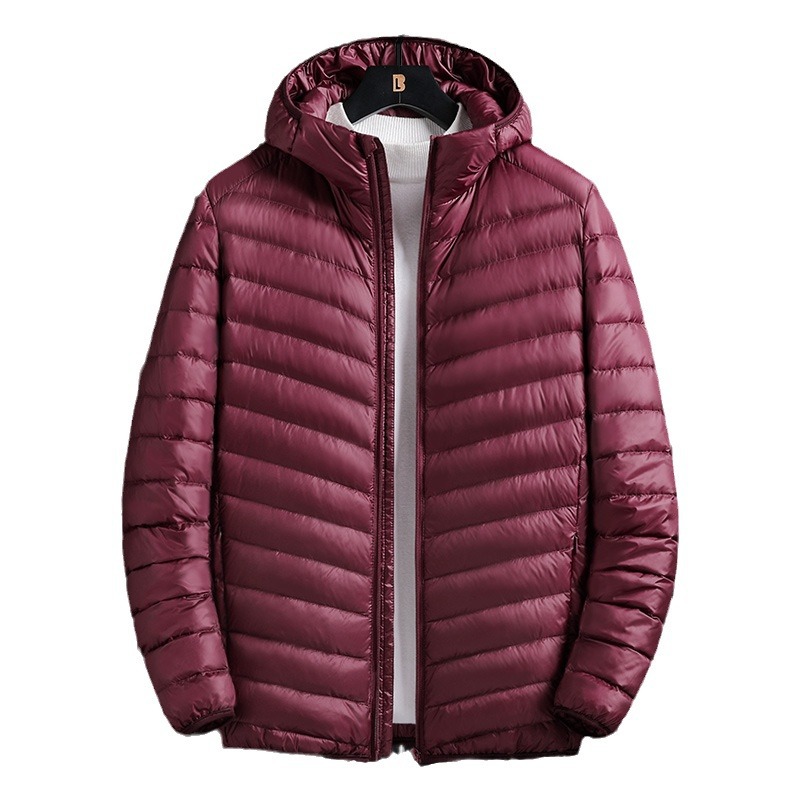 Men's Clothing winter large size men's hooded cotton jacket short light cotton jacket work clothes labor protection small cotton jacket men's clothing_voghion.com
