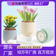 陶瓷花盆蝴蝶兰北欧风ins直筒竖纹花盆虎皮兰绿植盆栽桌面陶瓷盆