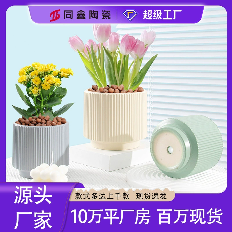 Керамический цветочный горшок Фаленопсис в скандинавском стиле ins Прямой вертикальный узор Цветочный горшок Тигр Пиран Зеленое растение в горшке Настольный керамический горшок