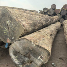 ��������ľ���ǻ���ľժ��ľ���ބ�������ľ�o��ζ���ǻ���ľԭľ