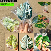 �ӏ����P�����ľ�з���~��Ϣ��̨��̨���~������ˮ���쾰�،m����