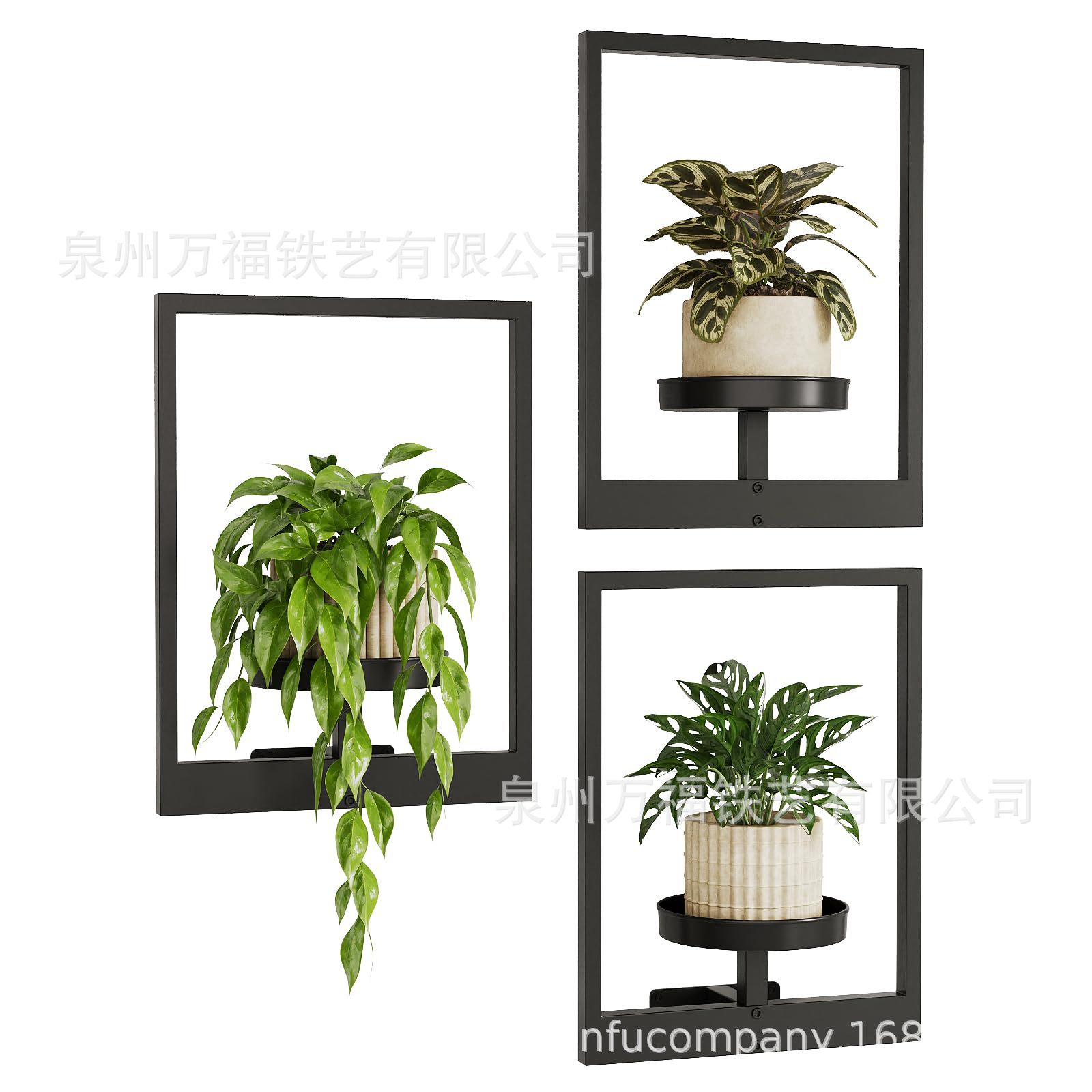 室内壁挂式植物架 室内窗台植物置物架 吊挂式室内植物花盆 金属