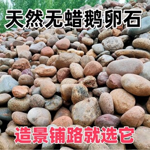 ����ʯ�·䁵�ͥԺ���@�쾰�Z��ʯˮ̎���ͳ��^�V�@�־��^�Z��ʯ