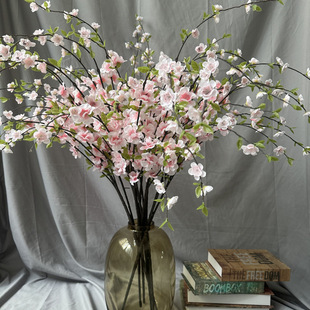 �����ѻ� ��������ָ �Ї��ѻ� С���Ļ� ���@�ۘ�̎�����bٻ�