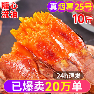 ɽ�|����25̖����10���������ļt��ɳ�ط����������ع����l����