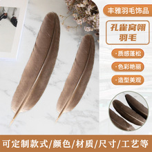 工厂直销孔雀毛孔雀窝翎自然色羽毛羽毛工艺品DIY饰品长羽孔雀羽