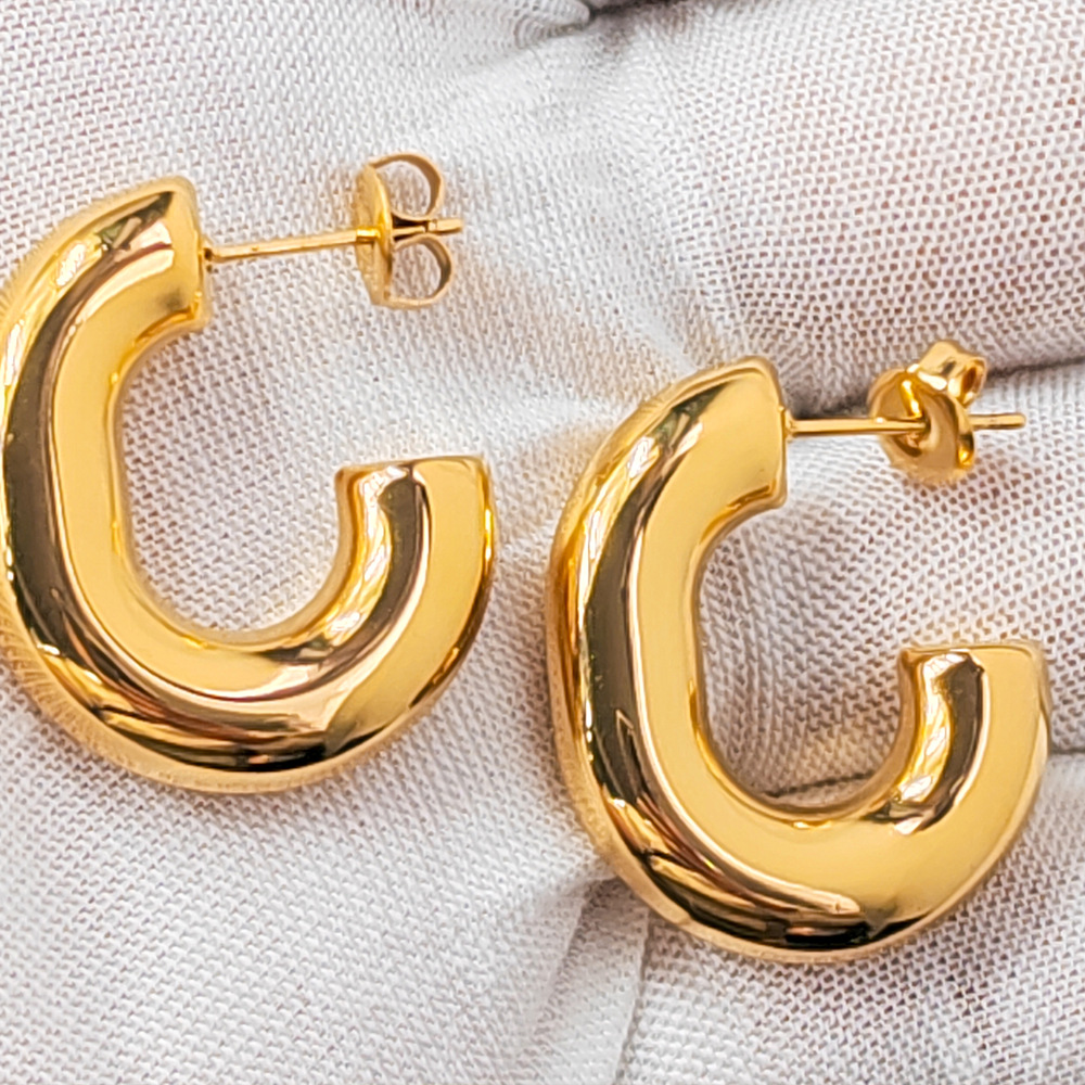 1 Pair Simple Style Solid Color Plating Stainless Steel Earrings display picture 1