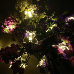 led太陽能蜜蜂燈串櫻花蜂鳥氣泡星蝴蝶裝飾 貝殼月亮滿天星彩燈串