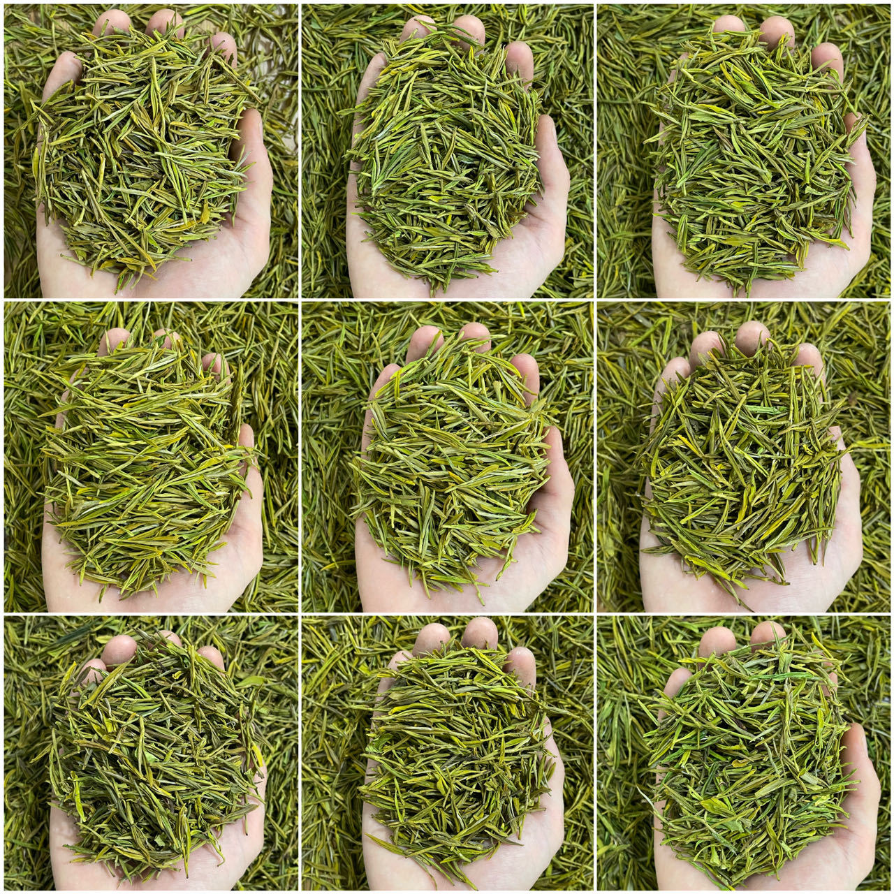 微信图片_20230522094313