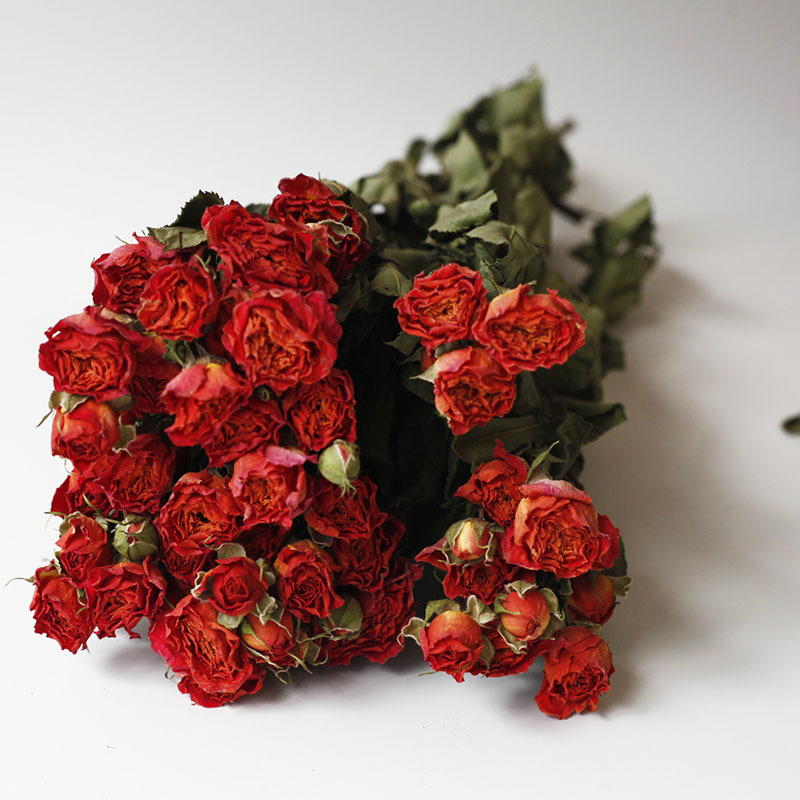 Flor seca Flor eterna Gypsophila Bola de oro No me olvides Flor seca Rosa hoja de eucalipto Pine Fruit Lover Grass al por mayor