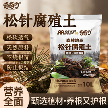 ��ᘸ�ֳ����Ȼ�ɘ�ֲ��l�͸�������m������I�B���������