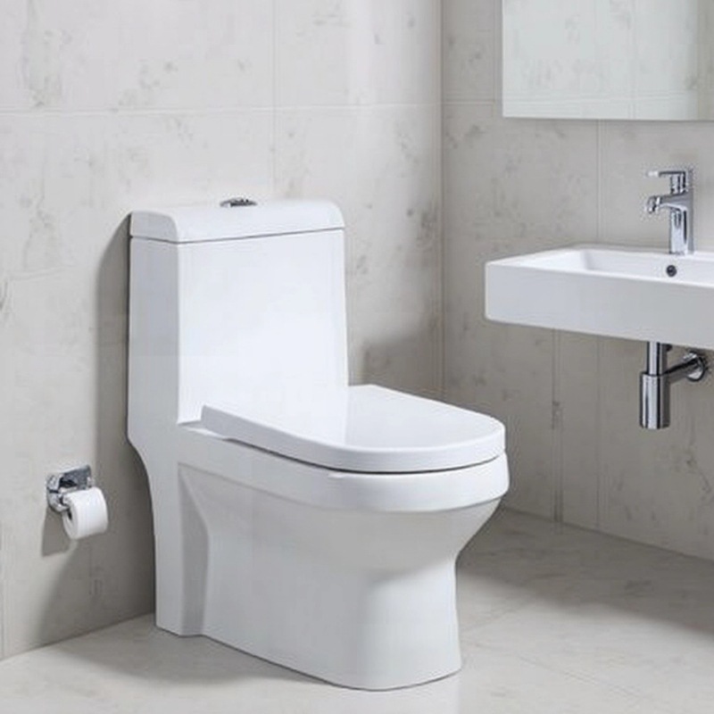 inodoro doméstico ordinario inodoro ingeniería de inodoro sanitario alojamiento residencial hotel apartamento transfronterizo Oriente Medio Sudeste Asiático América del Norte