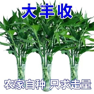 Fˮֲ͏dlˮB҃ȾG}СԻܾGֲ