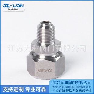 ע֬�y304A1051/4 3/81/2NPT6000PSI�̶����yʯ�;���ע����