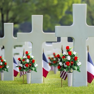 �羳����18�^��������Ĺ������������Y���滨Ĺ���b�õ��