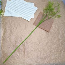 4��M����108Ŀ57cm�G���滨֦�� ���Ϸ���M���ǻ��U�廨�����