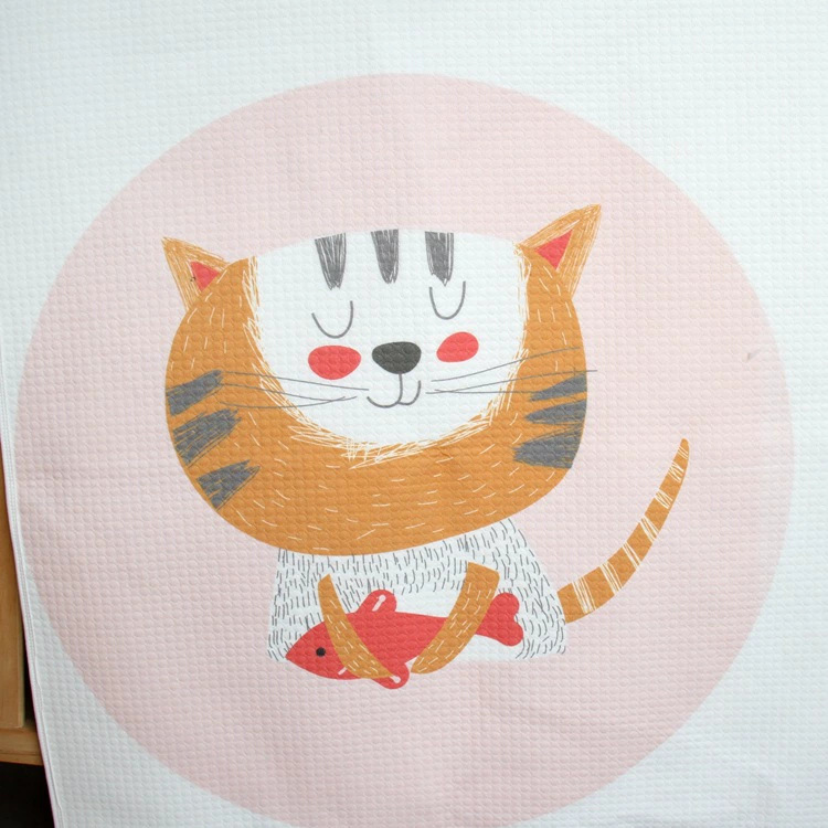 고양이 물고기.