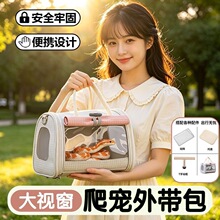 宠物蛇携带包爬宠外带包夏季透气盒蜥蜴陆龟守宫外出包跨境代发XJ