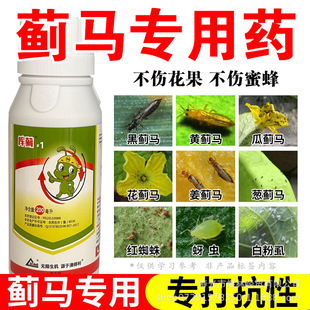 �E�R����ș�߲˲�ݮ��������ș���њ��x��ș��Ʒ���C���x��