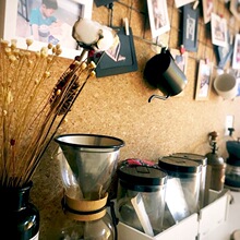 �黨ܛľ���׃��@��Ƭ�����������԰�ܛľ����ë�ְ屳�z��ճ���N