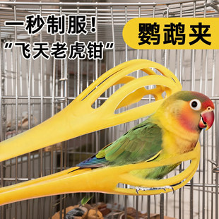 ץ�B�A���W�^��ҧ�A��ץҧĵ���`��ιʳӖ�B���B���o�����B�B���