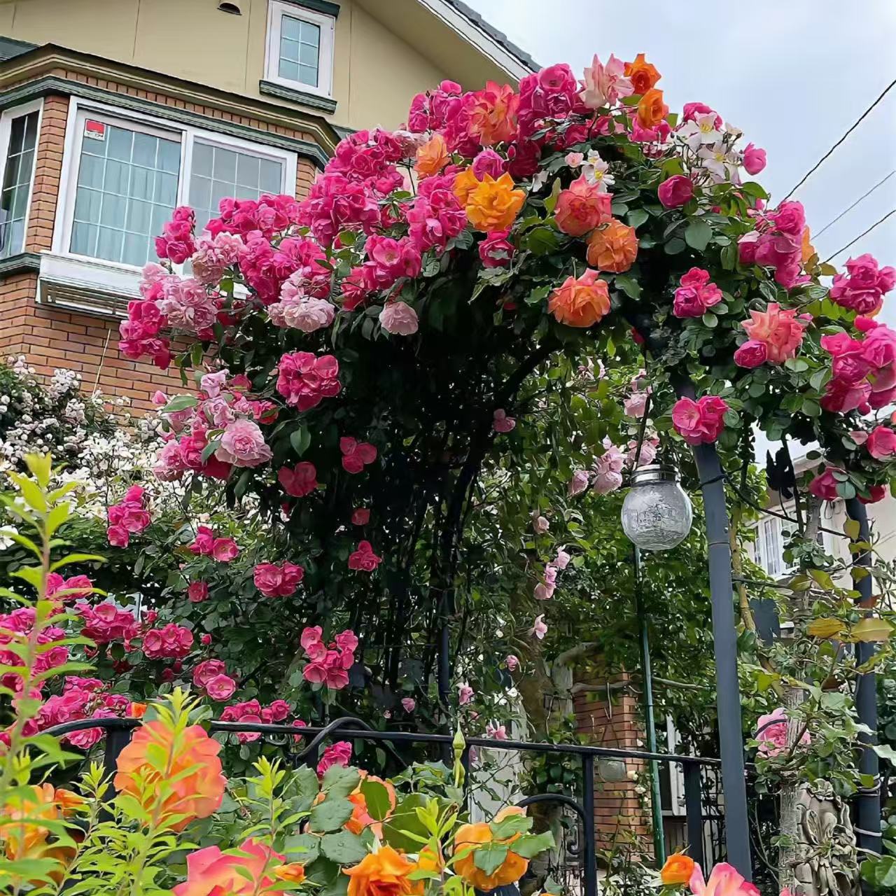 49ae8d79dfe4a1f6d74a02a1384df8