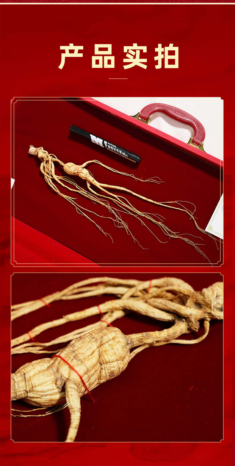 Changbai Mountain Wild Forest Ginseng Root Dried Whole Root for Traditional Herbal Decoction and Gift Box in use
