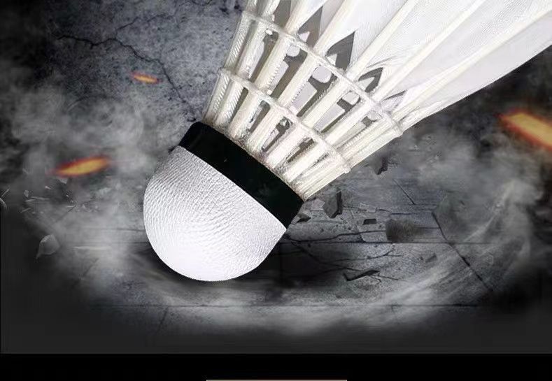 9f555f00-d3cd-4e69-aed7-1b71e16aa996.jpe