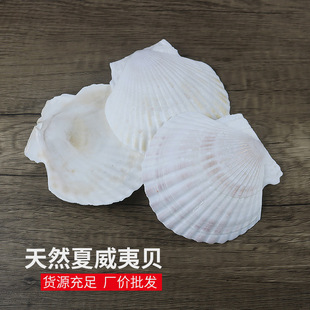 ��Ȼ�����ؐ����ؐ���N������diy�~���쾰������ؐ�����۽z���l