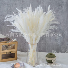 �羳ƽ̨�������ϸɻ�Դͷ�������������β����έС«έ�ɻ�����