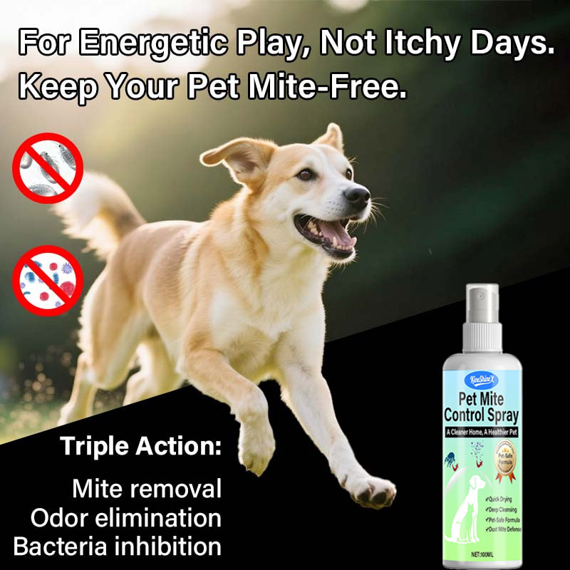 Pet Mite Removal Spray, Cat Bed Mite Removal, Itching Removal, Non-Toxic and Safe Formula Pet Hair Cleaner