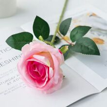 ����q��õ�廨��c���˹��Y�ﻨ���Ҿ��b����컨���滨�ٻ�