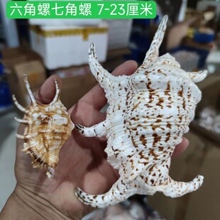 �������߽��� ��Ȼ�~��ˮ�����쾰�[������Y��˱��ղ�