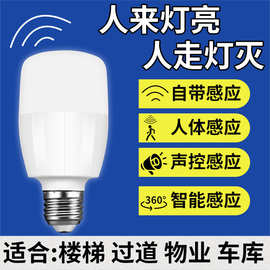 感应灯声控灯人体雷达红外线楼道楼梯走廊过道智能声光控家用灯泡