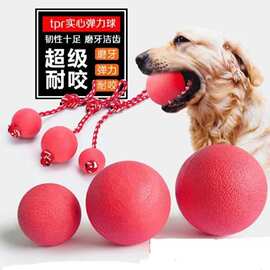 狗狗玩具耐咬弹力球宠物玩具狗狗磨牙玩具洁齿解闷穿绳球