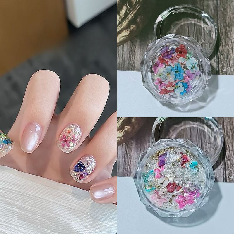 New Nail Art Dried Flower Material Monet's Garden Oil Painting Small Flowers Dreamy Colorful Fairy Opal Pink Gold Foil Sequins Mixed