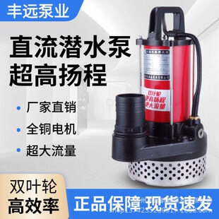 �S�hֱ����ˮ��12V24V48V60V72�p�~݆���������ߓP���ƿ܇��ˮ�C