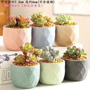 ���s���b�M�ϱ��˶��⻨�����l��С����ֲ������̨��