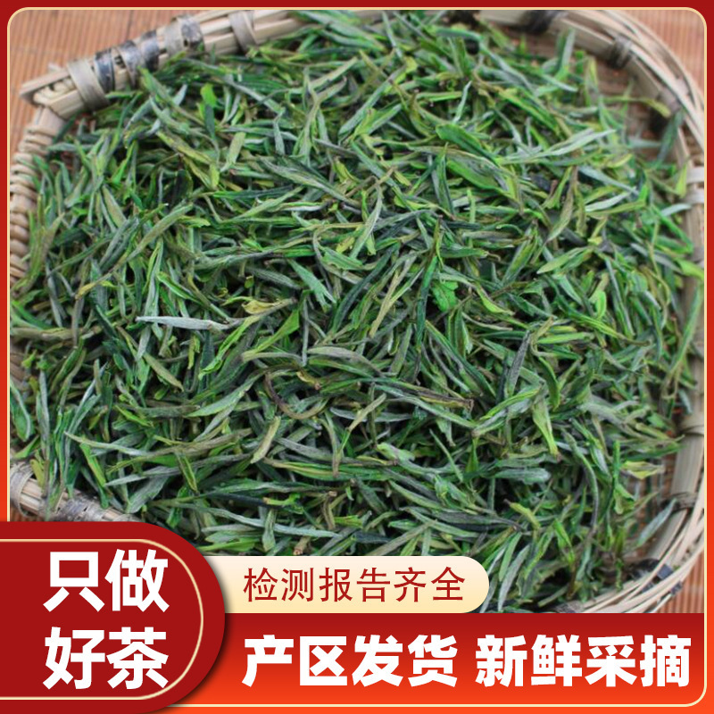 Core Production Area: Mingqian Huangshan Maofeng, One Bud One Leaf, Mingqian Quezhe Tea, Wholesale, Business Gifts, Dropshipping Core Production Area: Mingqian Huangshan Maofeng, One Bud One Leaf, Mingqian Quezhe Tea, Wholesale, Business Gifts, Dropshipping