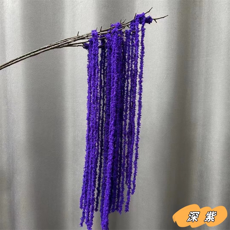 진한 보라색