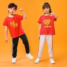 爱心中国幼儿园小学生演出服儿童夏季短袖长裤套装男童女童衣服酷