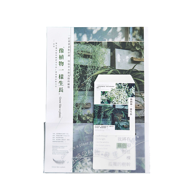 Recoger el juego de papel de carta de sobre A4, la noche que cae, la serie de estrellas, la ilustración original, el mensaje del estudiante, el sobre de papel de carta de bendición