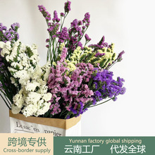 ���l�����������һ�������{���r�����ֶY���滨���ldiy���ϰ�