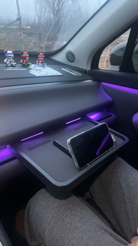 Specialized Leapmotor D19 D99 Center Console Small Table Board Co-pilot Storage Car Accessory Leapmotor D19 Small Table Storage Tray