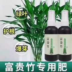富贵竹专用营养液转运观音竹子水培土培家用植物养花肥